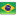 Brazil-Flag-16